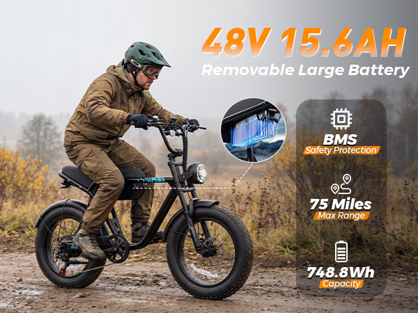 48V 15.6Ah Removable Battery