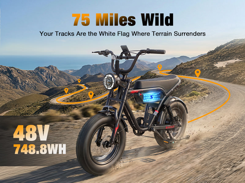 48V 15.6Ah Removable Battery