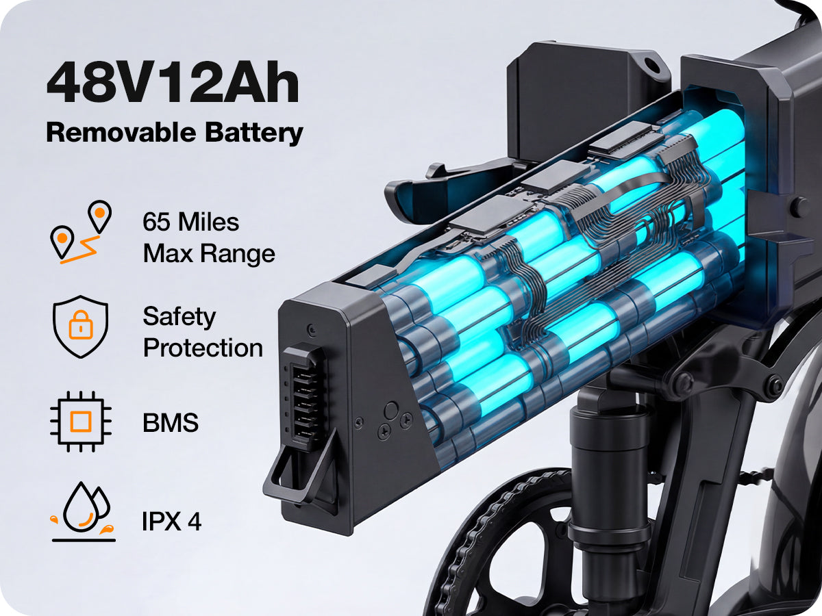 Removable 48V 12Ah Battery