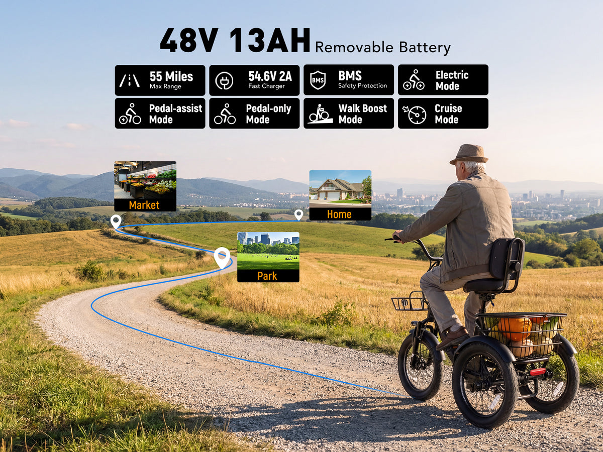 Removable 48V Battery