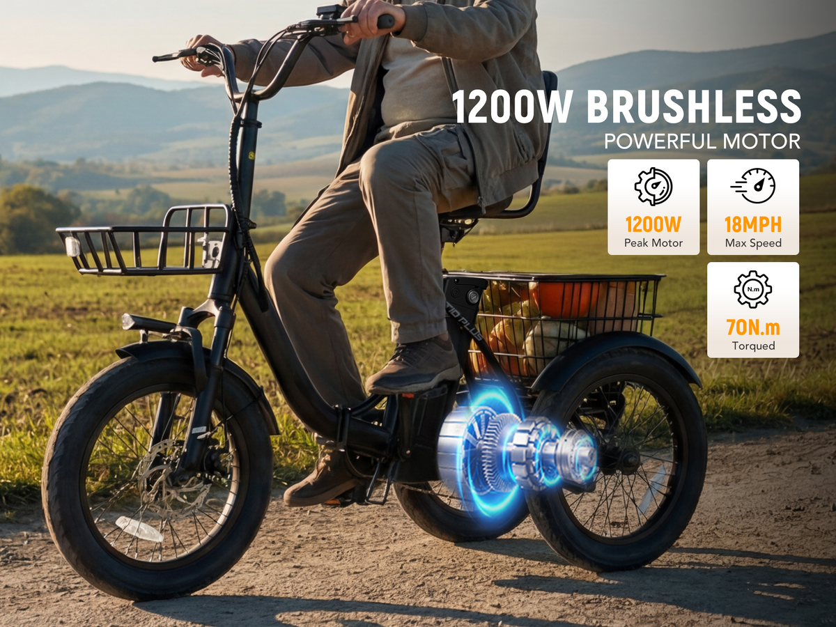 1200W Brushless Motor